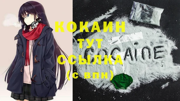 дживик Арсеньев