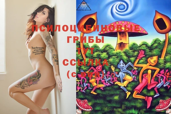 мет Аркадак
