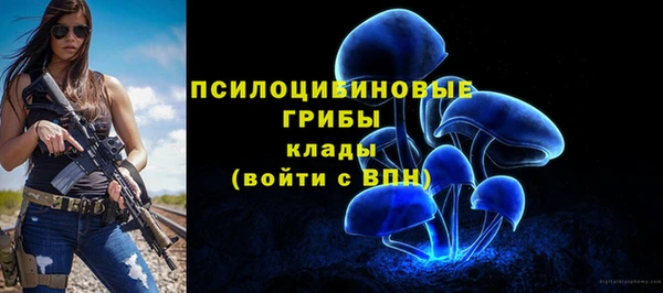 дживик Арсеньев