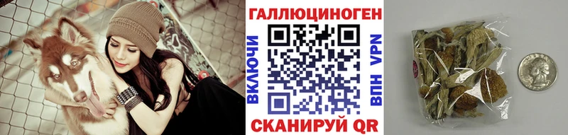 Купить закладки  Короча  Псилоцибиновые грибы MAGIC MUSHROOMS 